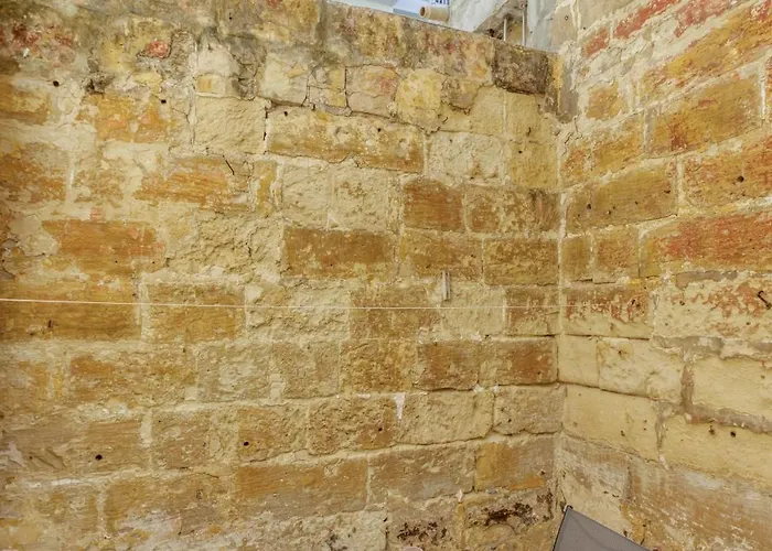 Authentic Townhouse With Backyard In By 360 Estates